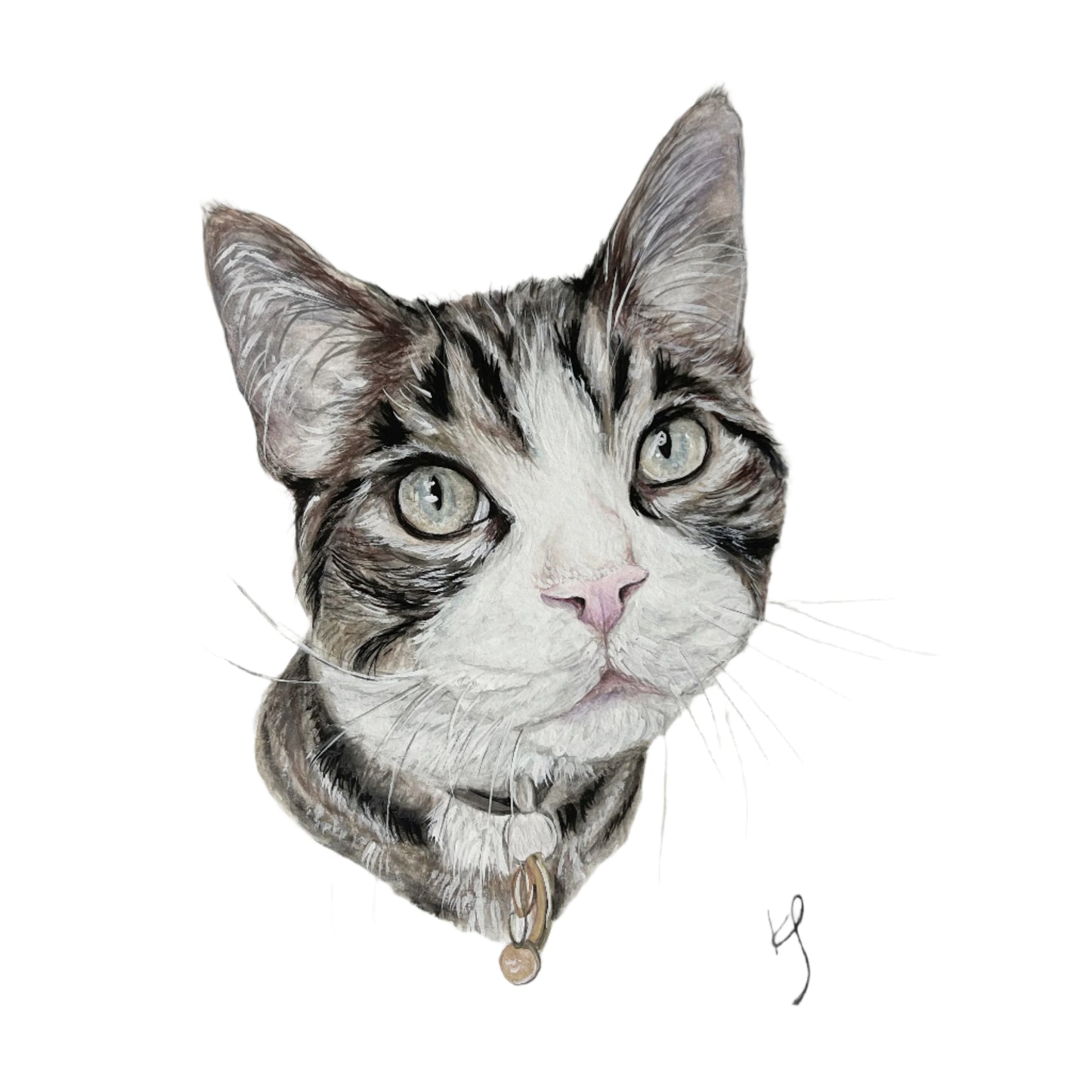 Pet Portraits