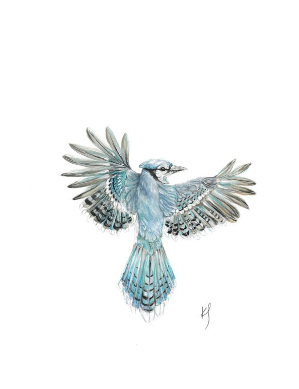 Bluejay Print