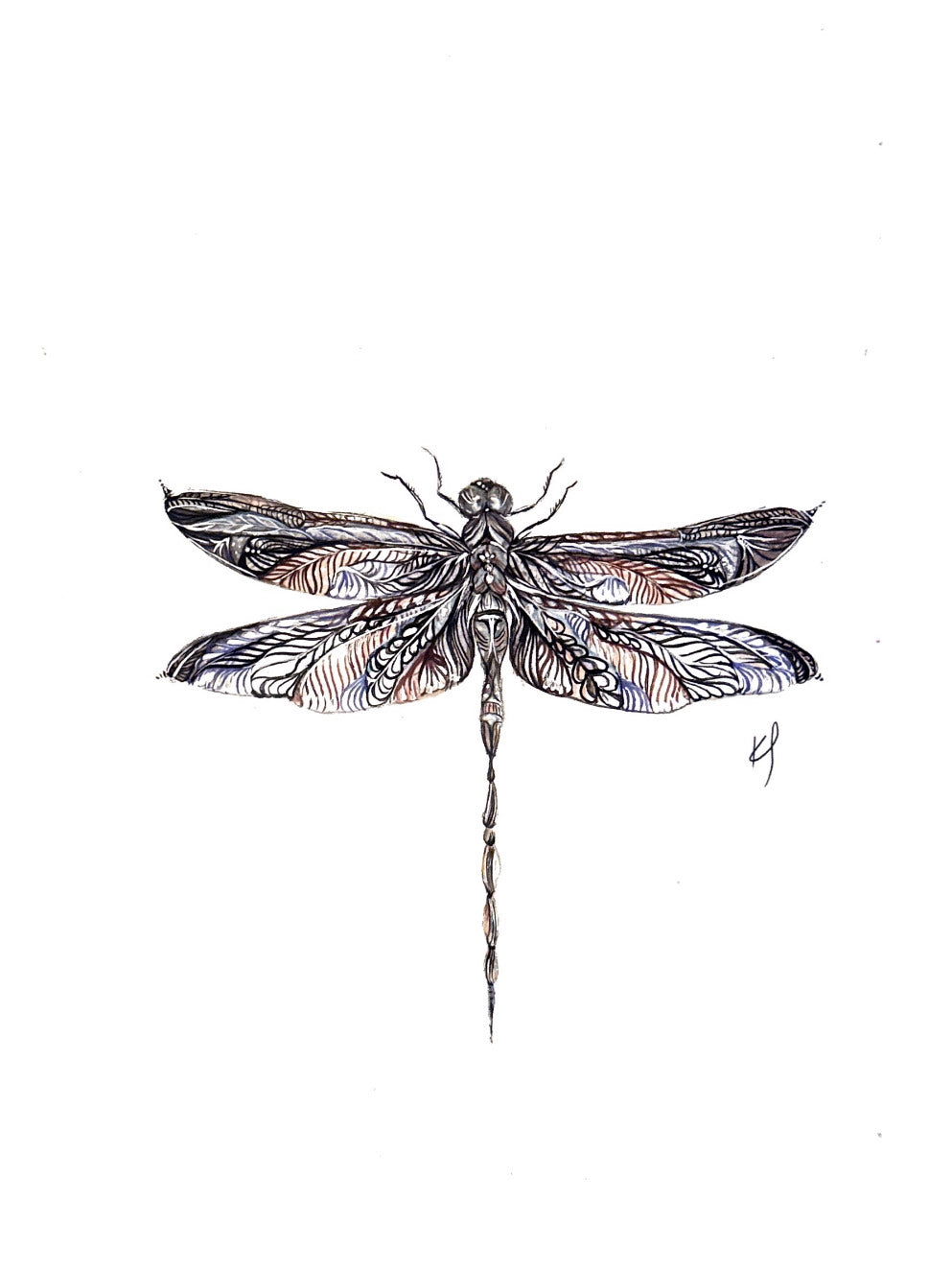 Dragonfly