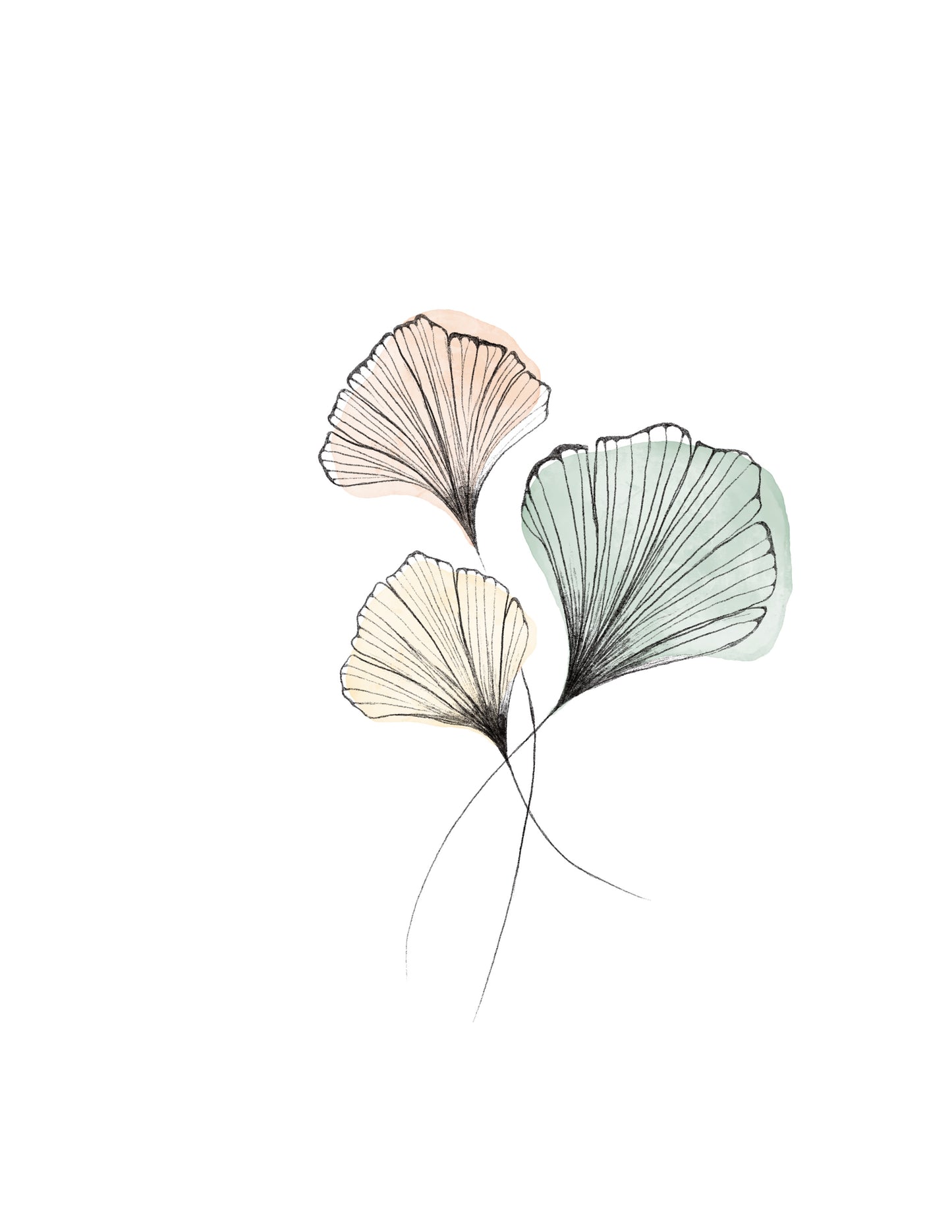 Ginkgo Flower