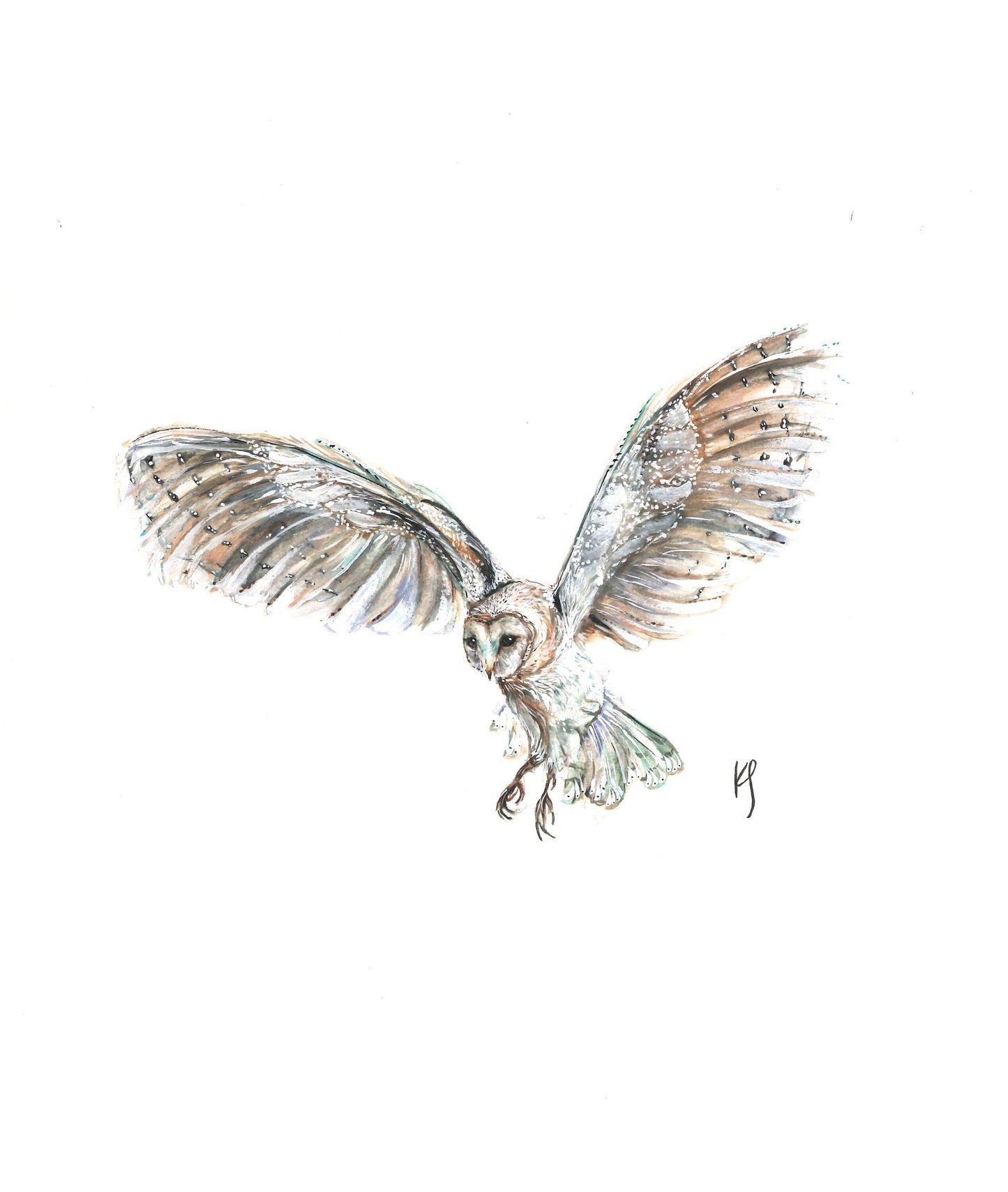 Flying Owl Print