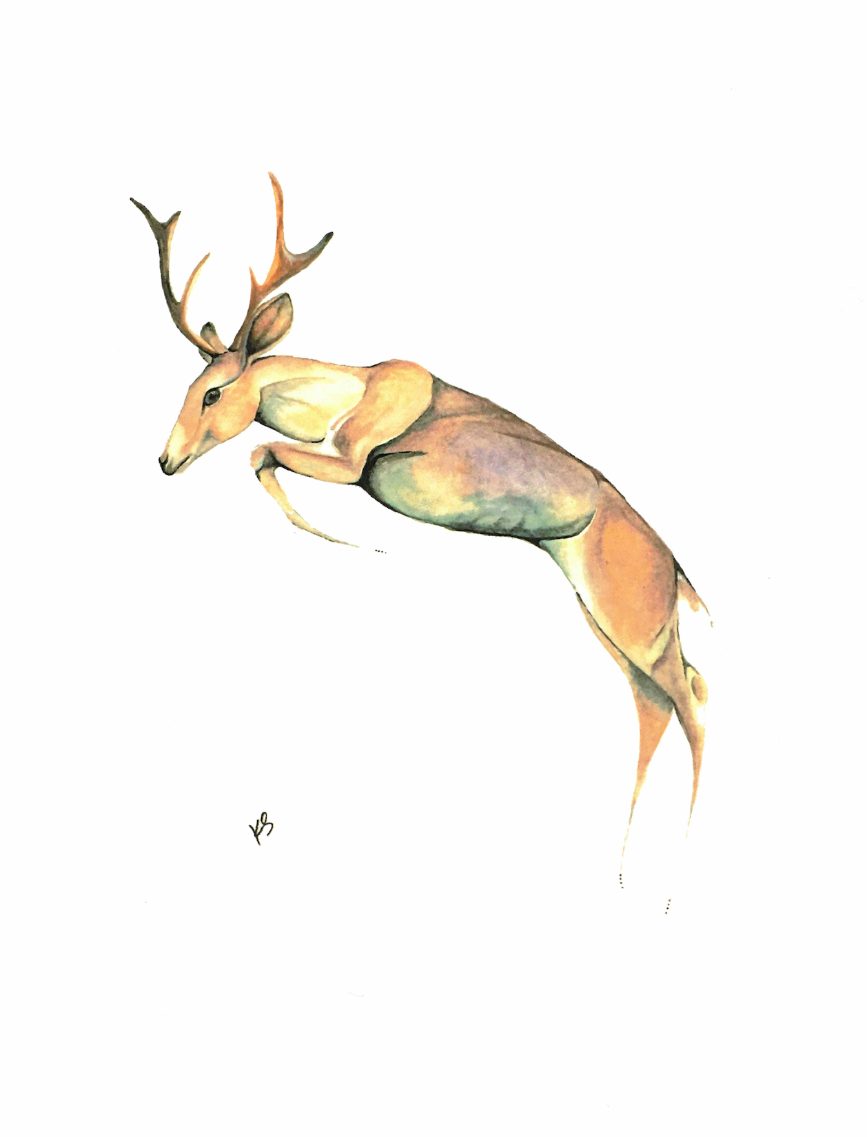 Jumping Deer