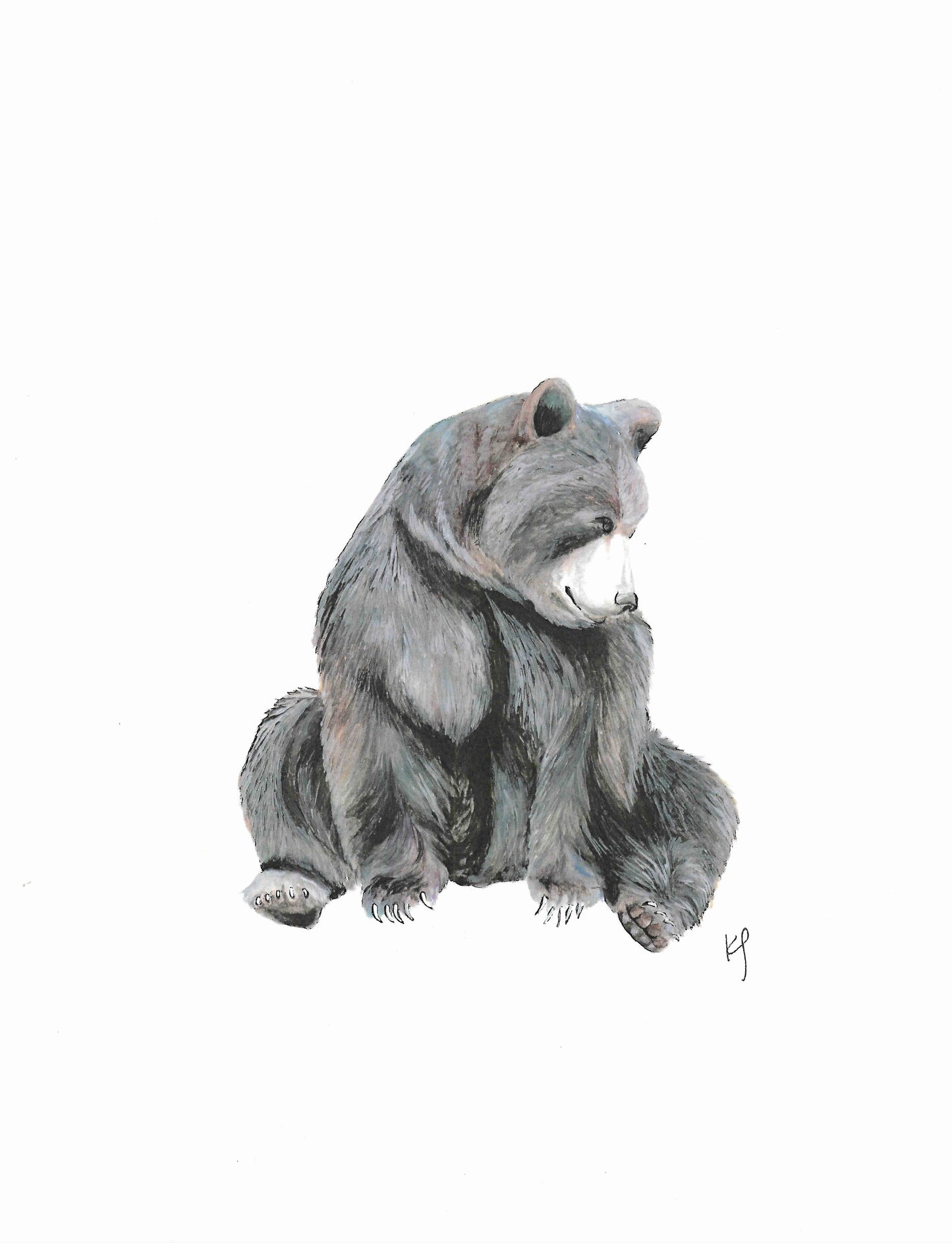 Sitting Bear