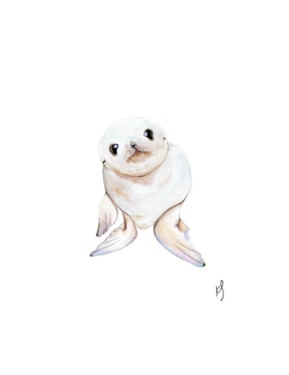 Baby Seal Print