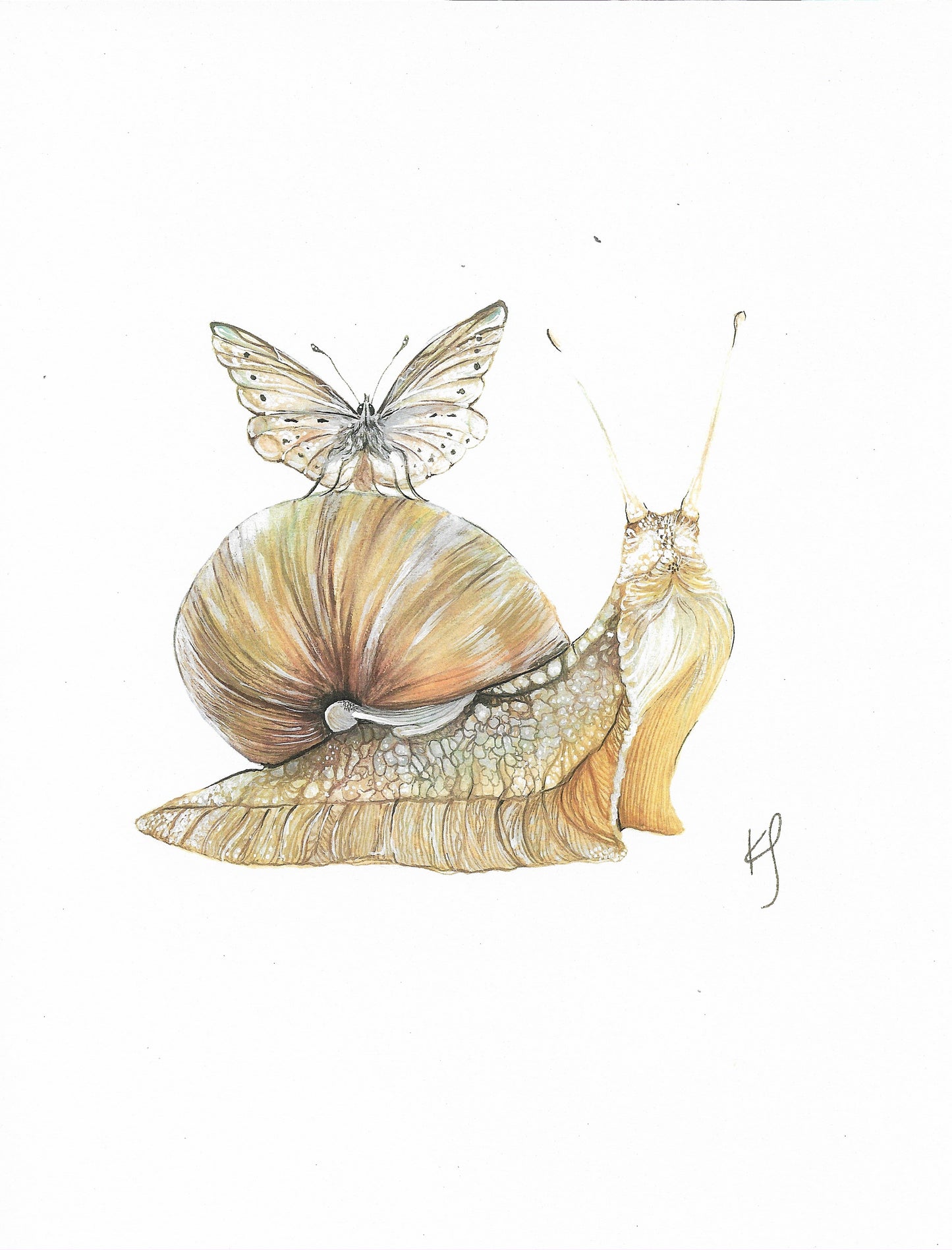 Snail Print