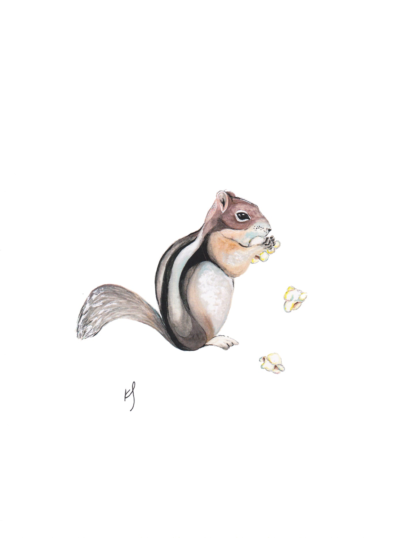 Chipmunk