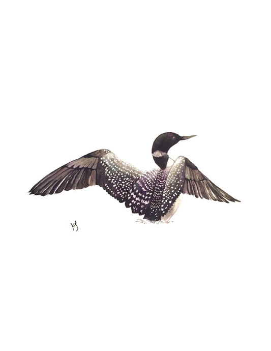 Loon Watercolour Print