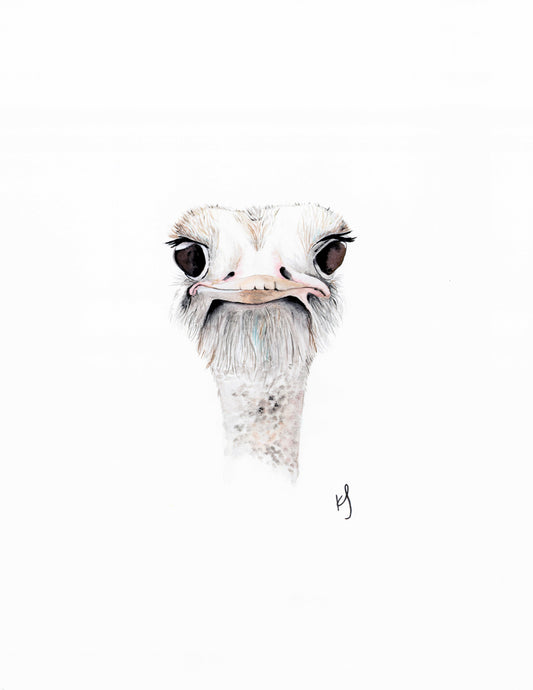 Ostrich Print