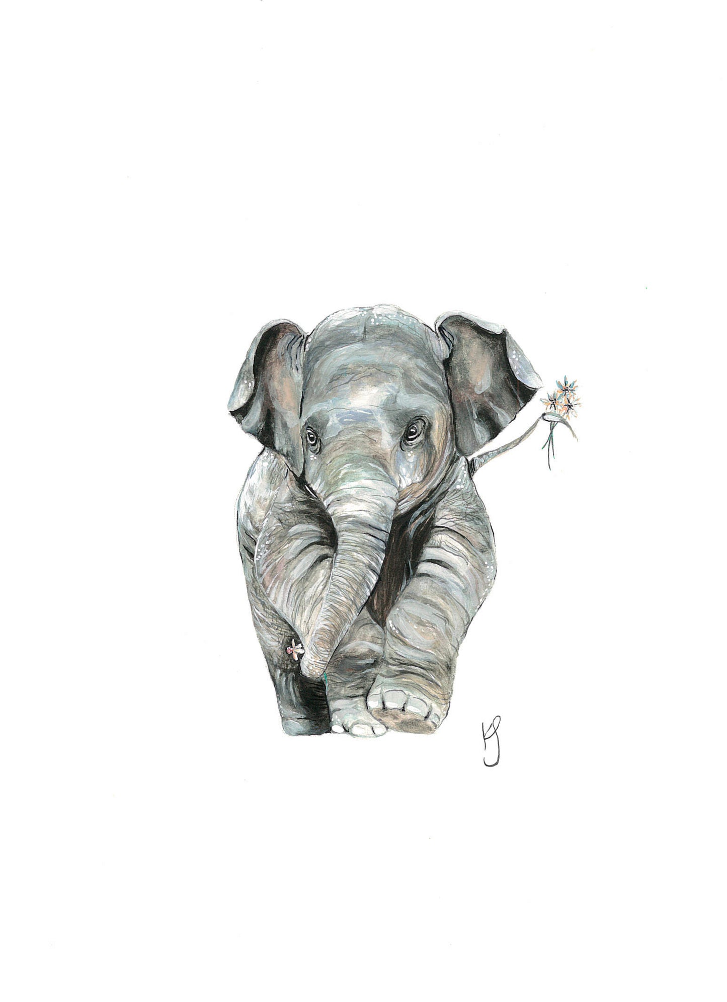 Baby Elephant with Flower Print