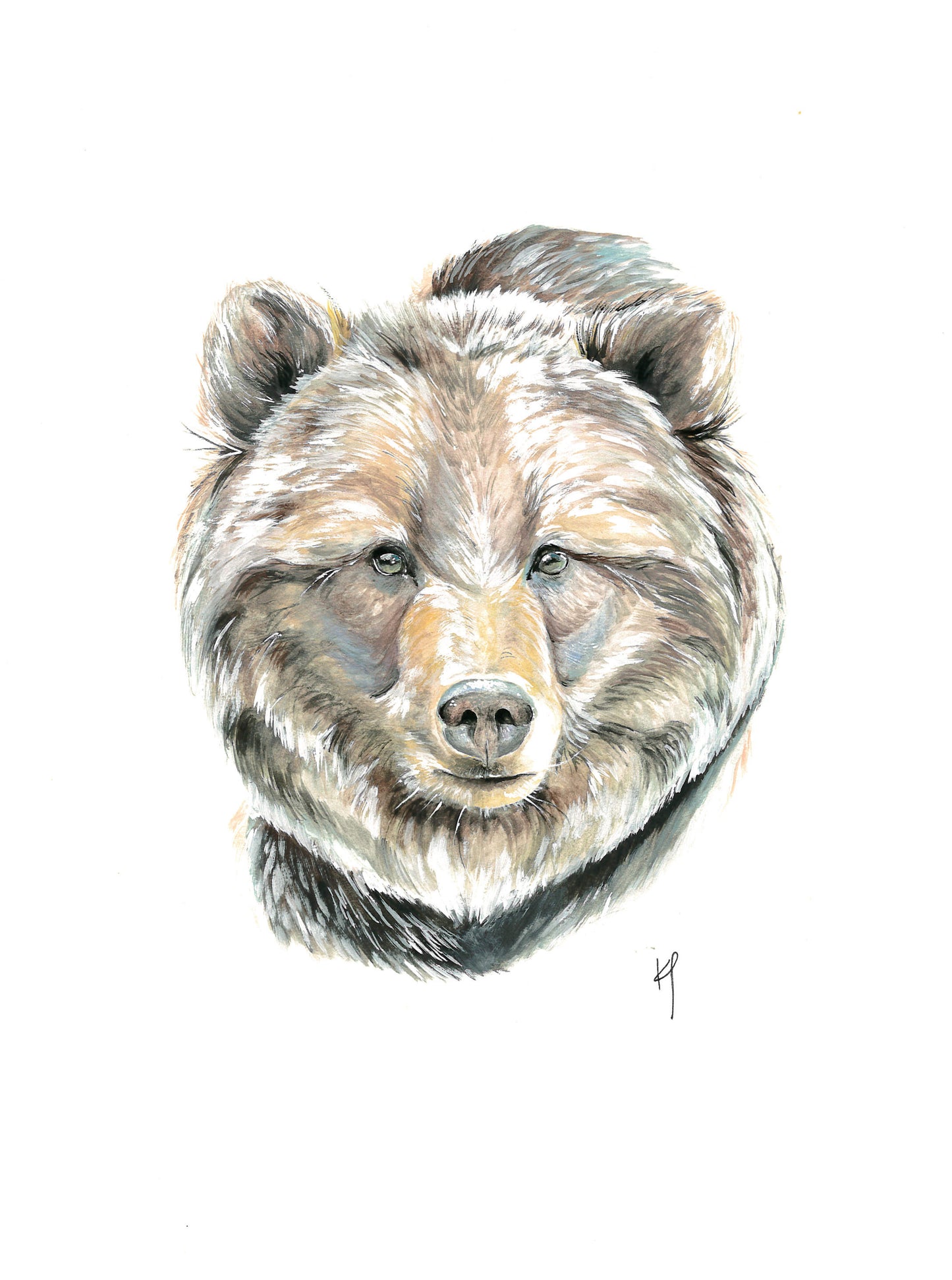 Bear Head Print